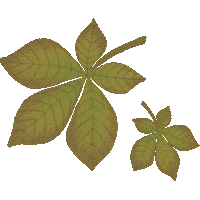 Fall Autumn Sticker