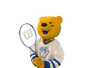 Bear Tennis Sticker by Western New England University