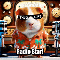 Guinea Pig Radio GIF by Guinea Gambino