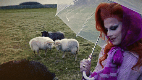 Drag Queen Sheep GIF by Mute Records