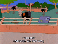 season 8 episode 22 GIF