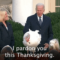 Joe Biden Politics GIF by The Democrats