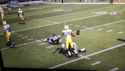 celebration madden GIF