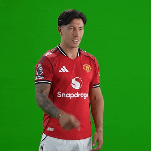 Point Pointing GIF by Manchester United