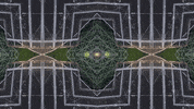 Art Film GIF by jorgemariozuleta