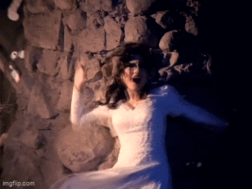 TalentlessFool giphyupload GIF