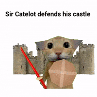 Davinjho cat meme castle defends GIF