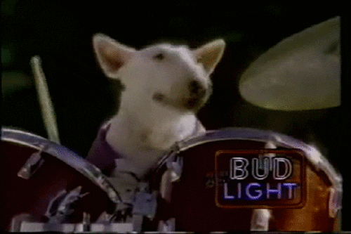 dog drumming GIF