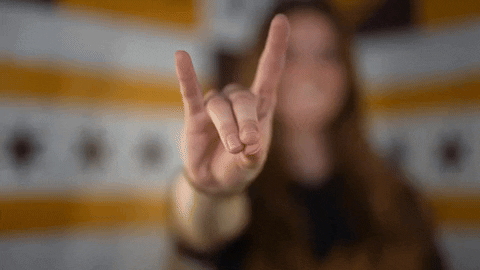 Loyola Softball GIF by LoyolaRamblers