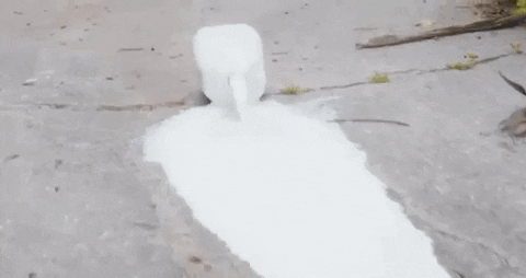Cat Milk GIF by Levitation Room