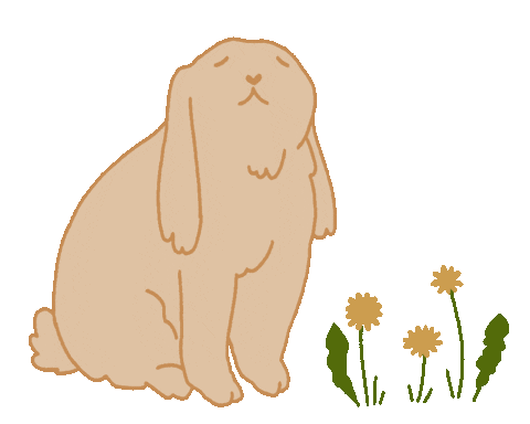 fleencampbell giphyupload flowers bunny pet Sticker