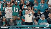 National Football League GIF by NFL