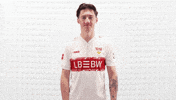 Vfb Stuttgart Football GIF by Bundesliga
