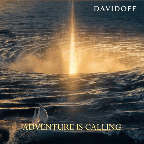 GIF by Davidoff Parfums