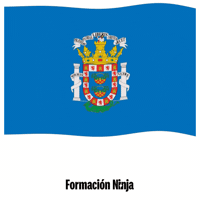 Flag Spain GIF by Formación Ninja