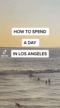GIF by Culture Trip