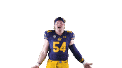 Tattersall Sticker by Cal Athletics