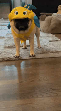 Angry Halloween GIF