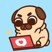 Working Locked In GIF by Puglie Pug