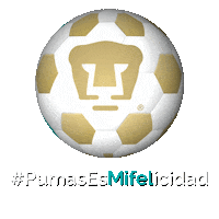 Mifel pumas goyo cl20 mifel Sticker