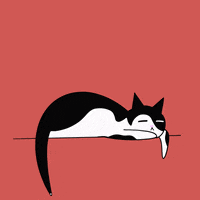 BueroLyndgrun katze alfie buerolyndgrun buerokater GIF