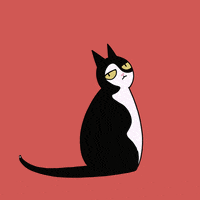 BueroLyndgrun katze alfie buerokater buerolyndgrun GIF