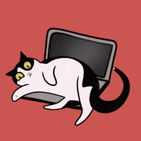 BueroLyndgrun katze alfie buerokater buerolyndgrun GIF