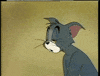 tom GIF