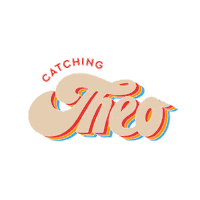 Theo Catchme Sticker by Hetime