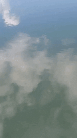 Simongip giphyupload GIF