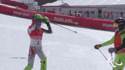 Winter Games Paralympics GIF by International Paralympic Committee