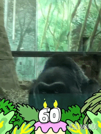 framebeta GIF