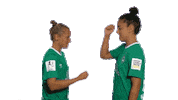 Emotionen Werderfrauen Sticker by SV Werder Bremen