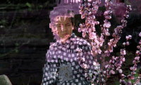 GIF by Canek