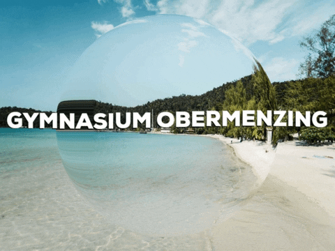School Lol GIF by PrivatschulenPORTAL.de