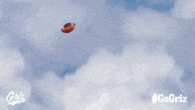 University Of Montana Football GIF by Montana Grizzlies