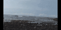 Education Motion GIF by DIIMSA Stock