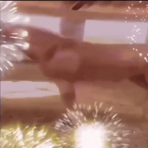 Horse GIF by Respective