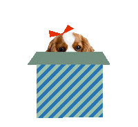 Dog Christmas Sticker by Zappos