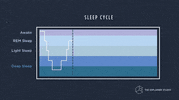 Animation Sleep GIF by The Explainer Studio