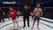 GIF by Bellator