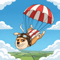Shiba Inu Falling GIF by Doge Pound