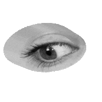 Look Ver Sticker by Movilizatorio