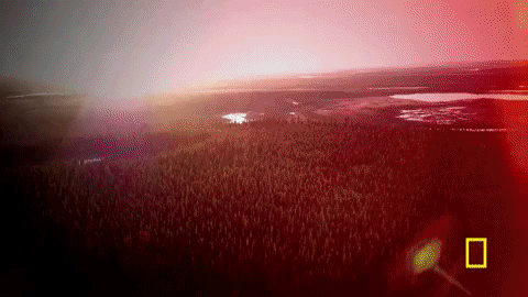 lifebelowzero GIF by National Geographic Channel