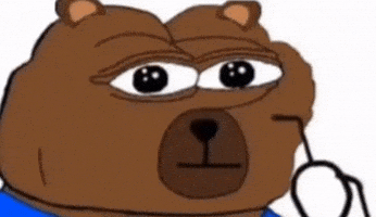 Disbelief Seriously GIF by Bear Market Memes