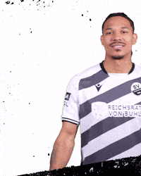 3Liga Wirechtanders GIF by SV Sandhausen