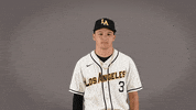 Ryan Lewis Baseball GIF by Cal State LA Golden Eagles
