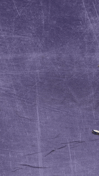 Kdub GIF by KWC Panthers