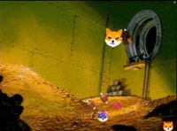 Shib Coin GIF by SHIB MEMES