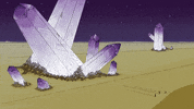 jay_nelles summer beach waves calm GIF